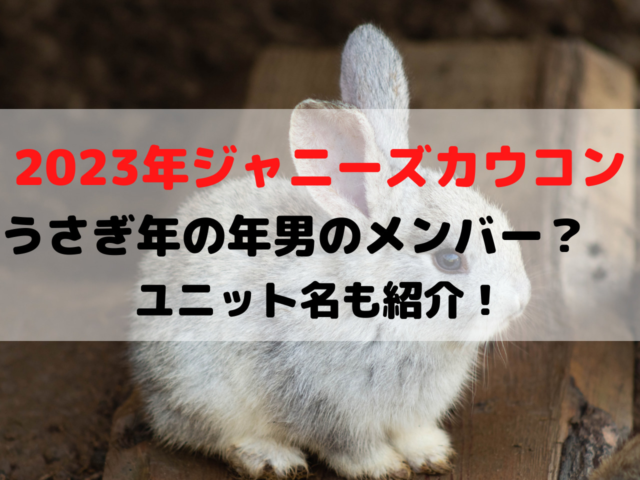 兎 うさぎ 年のジャニーズ 23年の卯年ユニット名とメンバーは スポルニュース